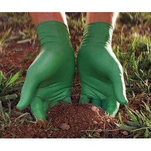 Biodegradable Gloves X-large 4 MIL Box of 100