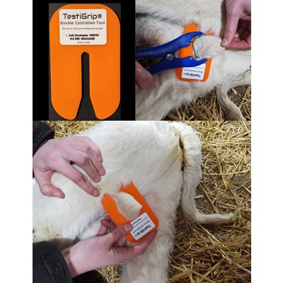 TestiGrip Castration Aid (calves)