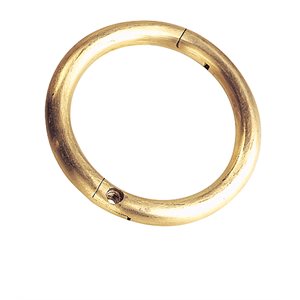 Brass Bull Ring 5 / 16" X 3"