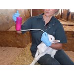 Rehydrateur agneau et chèvre Trusti Tuber