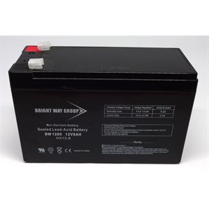 Batterie p / electrificateur s250 / s500 / ps15