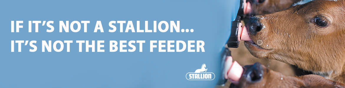Stallion Feeders